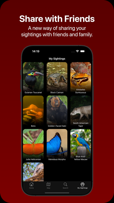 My Sightings grid of every animal logged on a trip